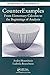 CounterExamples: From Elementary Calculus to the Beginnings of Analysis (Textbooks in Mathematics) by Andrei Bourchtein (2014-09-09)