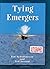Tying Emergers: A Complete Guide by Jim Schollmeyer (2004-03-31)
