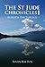 The St Jude Village Chronicles: Beneath the Surface Pt. 1 by Susan Rae Fox (2009-05-31)