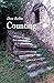 Counting by Dan Bellm
