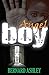 Angel Boy by Ashley, Bernard (2009) Paperback