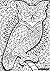 Wise Old Owl - A Color Your...