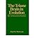 The Triune Brain in Evolution: Role in Paleocerebral Functions