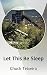 Let This Be Sleep by Chuck Teixeira