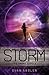 Storm (Swipe, #3)