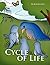 Cycle of Life by AJ Rodrigu...