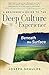 [A Beginner's Guide to the Deep Culture Experience: Beneath the Surface] [Author: Shaules, Joseph] [August, 2010]