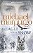 An Eagle in the Snow by Michael Morpurgo An Eagle in the Snow by Michael Morpurgo