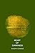 heart of darkness by Joseph Conrad