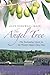 The Angel Tree: The Enchanting Quest for the World's Oldest Olive Tree by Alex Dingwall-Main (2012-10-09)