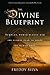 The Divine Blueprint: Temples, Power Places, and the Global Plan to Shape the Human Soul. Paperback – 2012