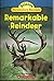 Remarkable Reindeer (Science Vocabulary Readers) by Jeff Bauer(1905-06-29)