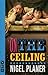 On the Ceiling (Nick Hern Books) by Nigel Planer (2005-09-30)