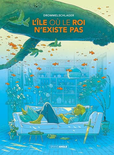 L'île où le roi n'existe pas (Hardcover)