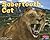 Sabertooth Cat (Dinosaurs and Prehistoric Animals)