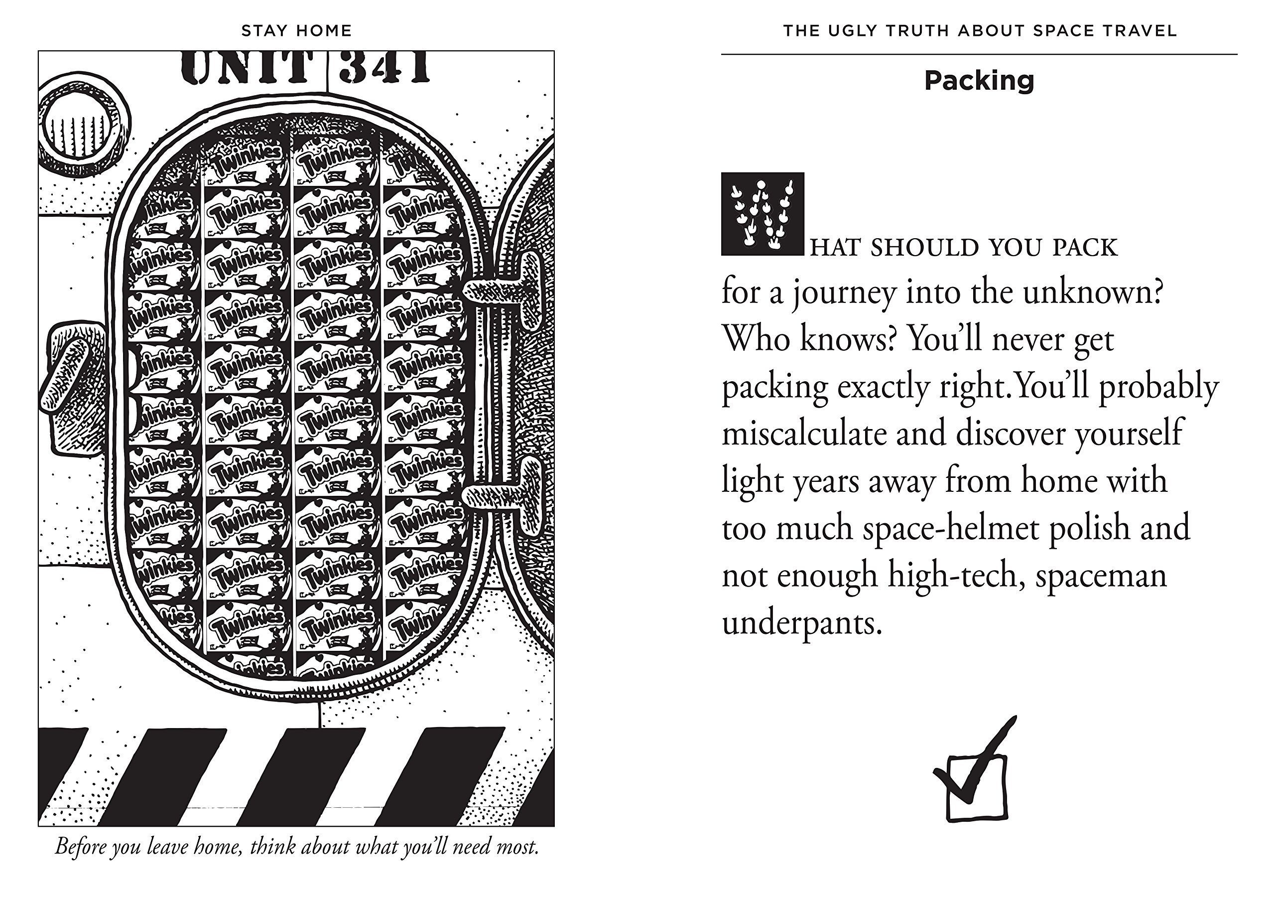 Stay Home; The Ugly Truth About Space Travel (Hardcover)