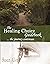 The Healing Choice Guideboo...