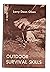 By Larry Dean Olsen - Outdoor Survival Skills (4th Edition) (... by Larry Dean Olsen