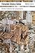 Breve historia del urbanismo / Brief History of Urbanism (Spa... by Fernando Chueca Goitia