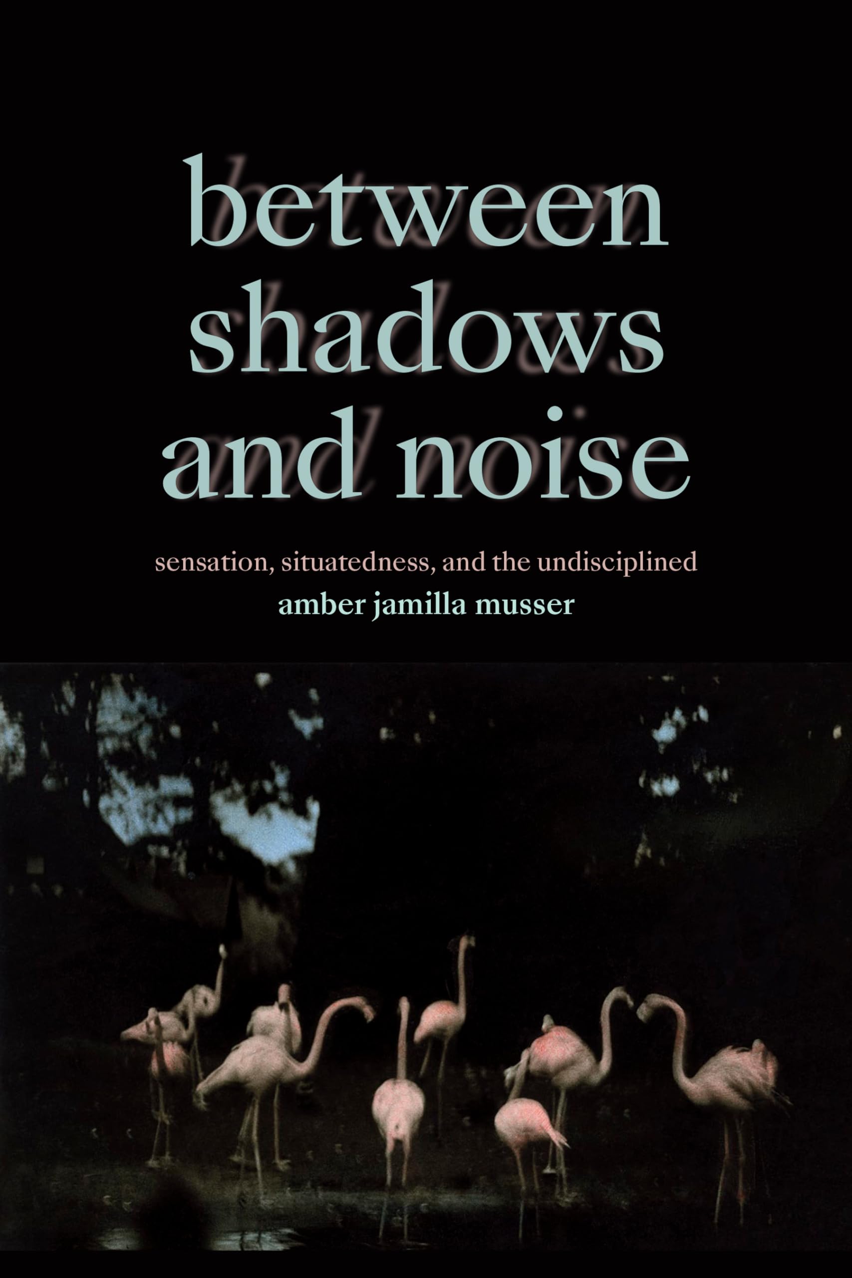 Between Shadows and Noise: Sensation, Situatedness, and the Undisciplined (Paperback)