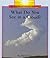 What Do You See in a Cloud? (Rookie Read-About Science) by Allan Fowler (2006-06-03)