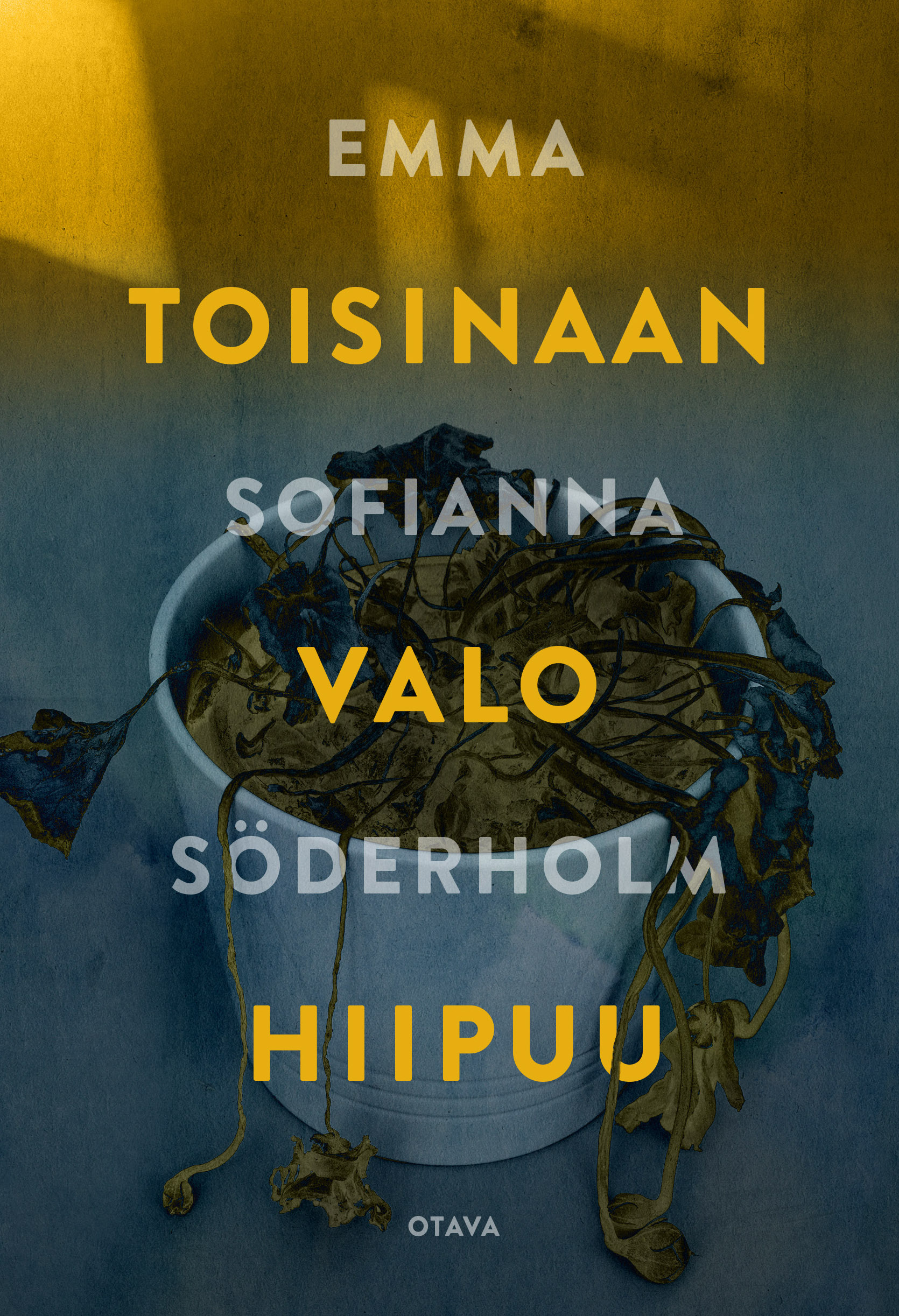 Toisinaan valo hiipuu (Hardcover)
