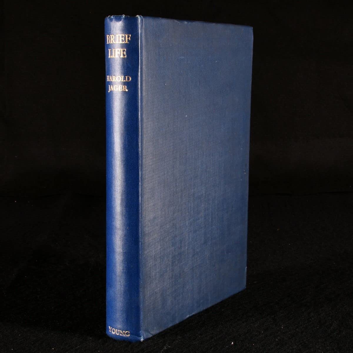 Brief life (Hardcover)