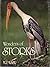 Wonders of Storks