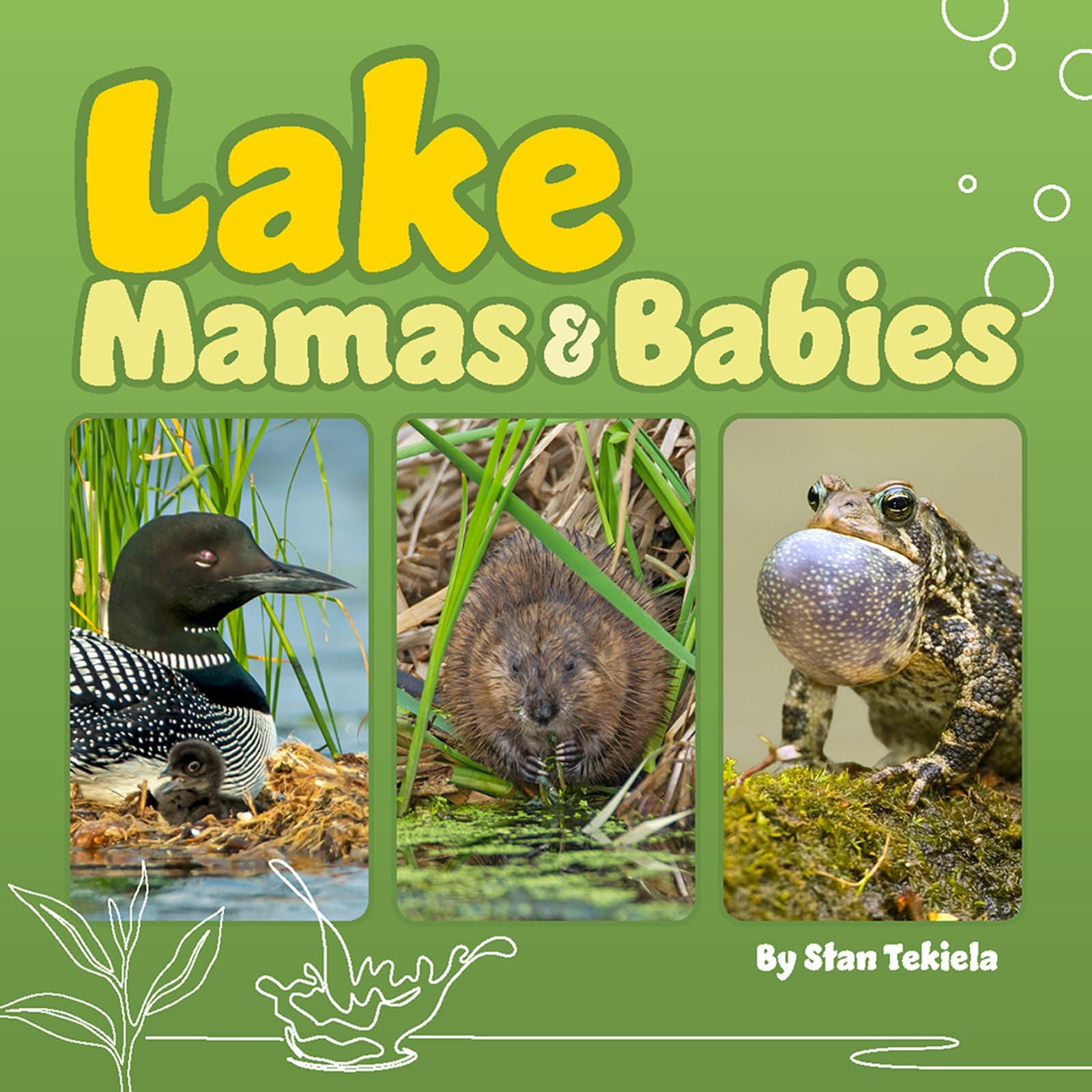 Lake Mamas & Babies (Mamas and Babies)