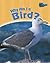 Why am I a Bird? (Classifying Animals) by Greg Pyers (2006-09-15)