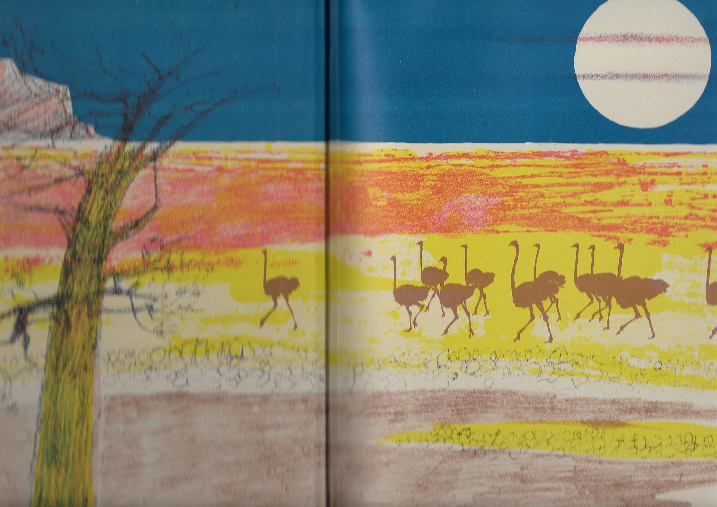 The Story of an African Farm