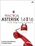 Practical Asterisk 1.4 and 1.6 1st (first) edition Text Only