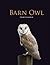 Barn Owl by David Chandler (2011-09-08)
