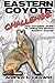 Eastern Coyote Challenge: The Complete Guide to Calling the Elusive Eastern Coyote by Lewand, Andrew L. (2009) Paperback