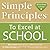 Simple Principles to Excel at School by Lluch Alex A. (2008-07-18) Paperback
