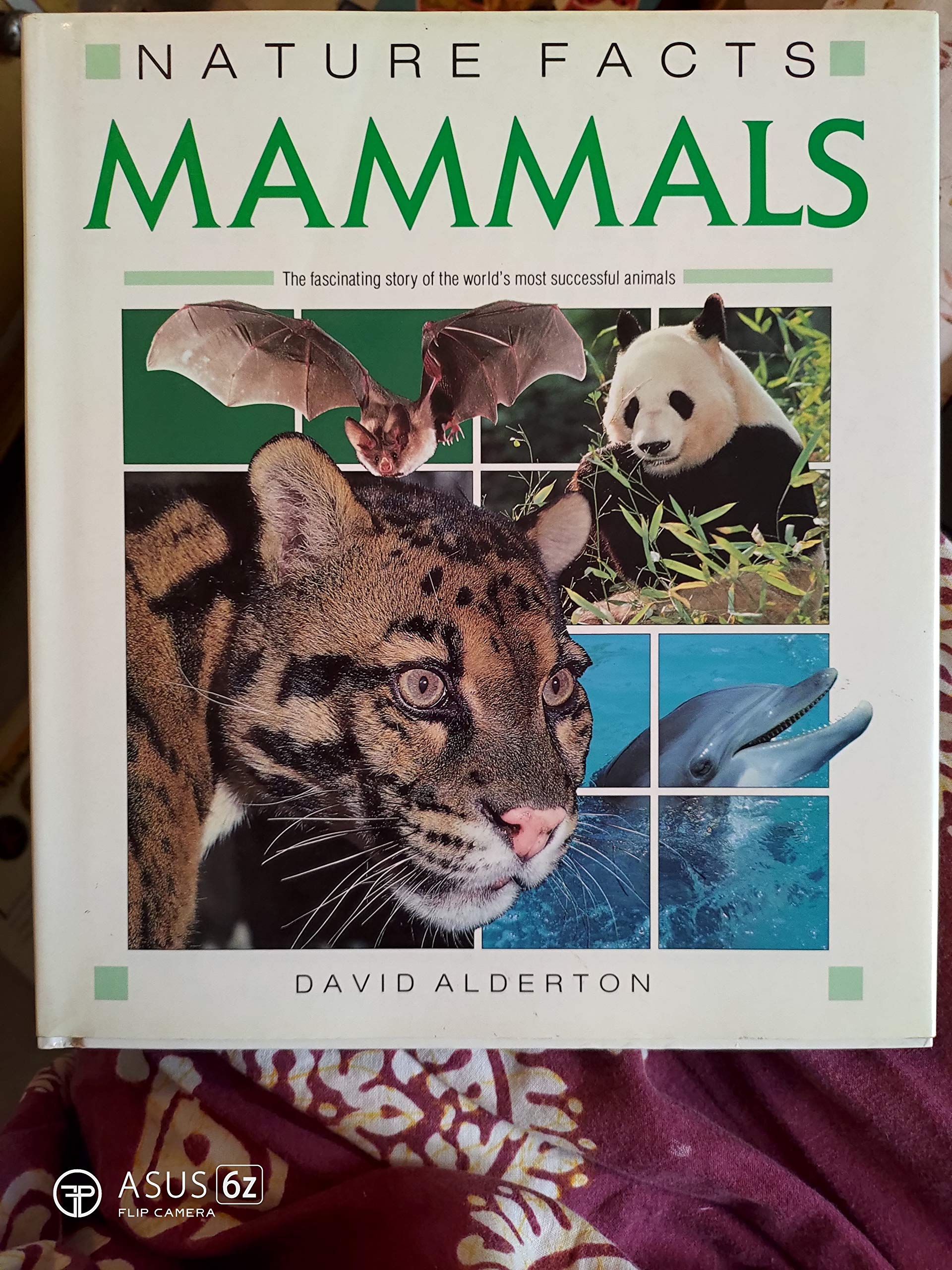 NATURE FACTS: MAMMALS (Hardcover)