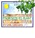 From Seed to Plant by Gail Gibbons