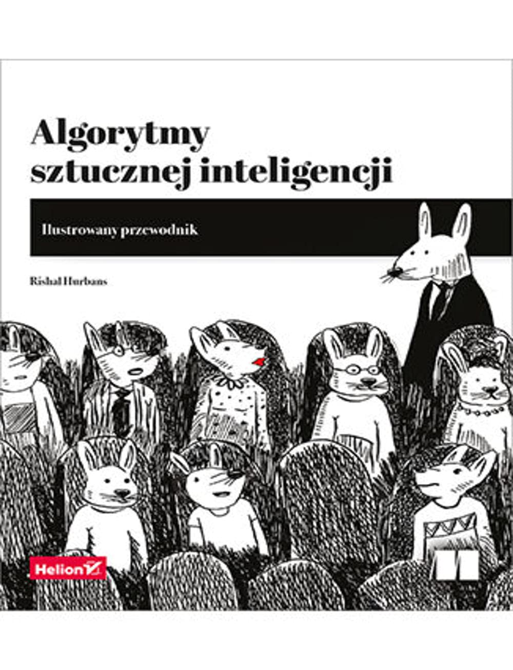 Algorytmy sztucznej inteligencji. Ilustrowany przewodnik (Paperback)