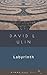 Labyrinth (Open Door) by Ulin, David L. (2012) Paperback