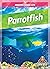 Parrotfish