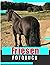 Friesen Fotobuch: Sportpfer...