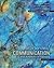 Interpersonal Communication and Human Relationships