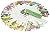 Fandex Family Field Guides:...
