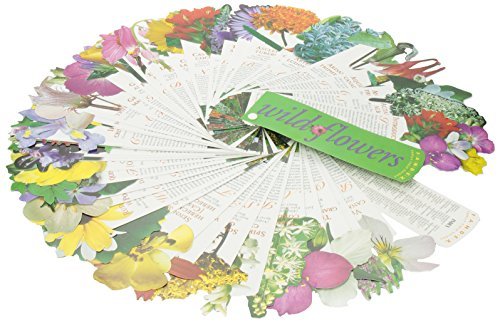 Fandex Family Field Guides: Wildflowers by Ruth Rogers Clausen (1999-09-01)