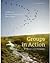 Groups in Action: Evolution and Challenges
