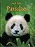 Sma fakta: Pandaer
