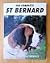 The Complete St. Bernard