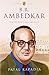 Puffin Lives: B.R. Ambedkar, Saviour of the Masses by Payal Kapadia (2014-05-01) Paperback