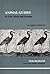 Animal Guides: In Life, Myth and Dreams (Studies in Jungian Psychology) by Neil Russack (2002-04-25)
