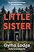 Little Sister: A Novel (Jonah Sheens Detective Series)